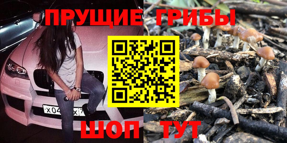 Галлюциногенные грибы Psilocybe Вязьма