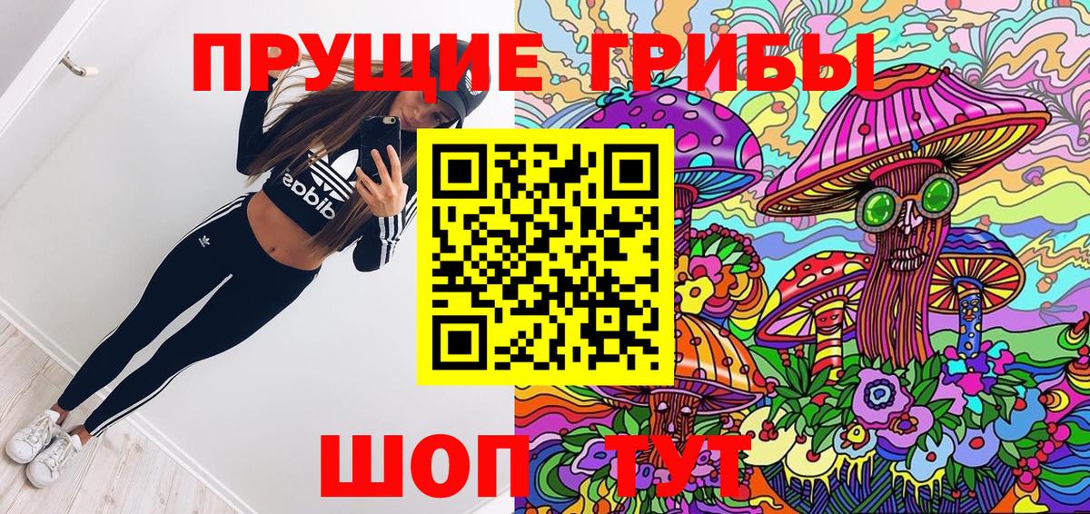 где найти   Псилоцибиновые грибы прущие грибы  Вход с VPN  Вязьма 